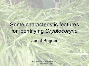 Some characteristic features for identifying Cryptocoryne Josef Bogner