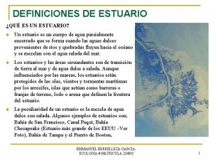 DEFINICIONES DE ESTUARIO QU ES UN ESTUARIO n