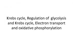Krebs cycle Regulation of glycolysis and Krebs cycle