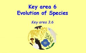 Key area 6 Evolution of Species Key area