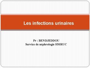 Les infections urinaires Pr BENDJEDDOU Service de nphrologie