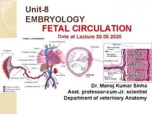 Unit8 EMBRYOLOGY FETAL CIRCULATION Date of Lecture 30