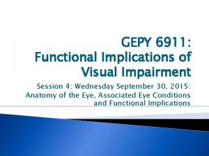 GEPY 6911 Functional Implications of Visual Impairment Session