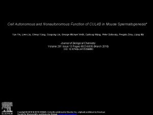 Cell Autonomous and Nonautonomous Function of CUL 4
