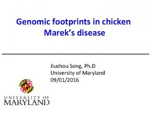 Genomic footprints in chicken Mareks disease Jiuzhou Song