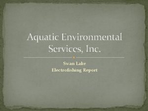 Aquatic Environmental Services Inc Swan Lake Electrofishing Report