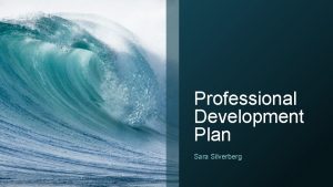 Professional Development Plan Sara Silverberg Personal Goals Year