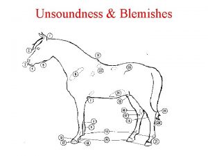 Unsoundness Blemishes Definitions Blemishes Unsoundness Any deviation in