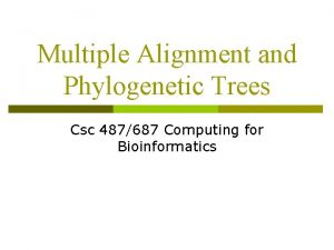 Multiple Alignment and Phylogenetic Trees Csc 487687 Computing