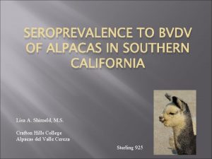 SEROPREVALENCE TO BVDV OF ALPACAS IN SOUTHERN CALIFORNIA