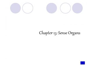 Chapter 15 Sense Organs SENSE OF SMELL l