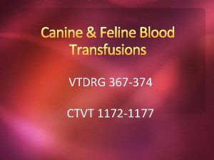 Canine Feline Blood Transfusions VTDRG 367 374 CTVT