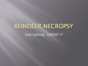 REINDEER NECROPSY Deb Apthorp NREMTP Report from Ohio