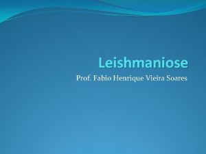 Leishmaniose Prof Fabio Henrique Vieira Soares Leishmaniose Gnero