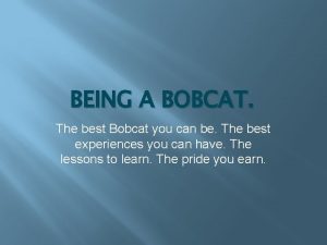 BEING A BOBCAT The best Bobcat you can