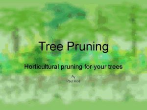 Tree Pruning Horticultural pruning for your trees By