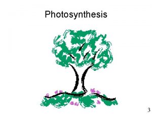 Photosynthesis 3 Photosynthesis is the process that produces