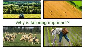 Why is farming important Why is farming important
