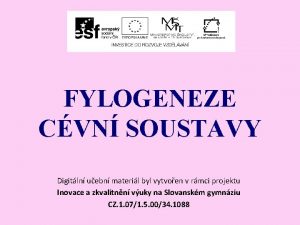 FYLOGENEZE CVN SOUSTAVY Digitln uebn materil byl vytvoen