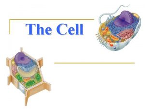 The Cell THE CELL THEORY 1 All living