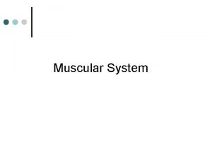 Muscular System Muscular System Muscles are responsible for