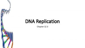 DNA Replication Chapter 12 3 Copying the Code