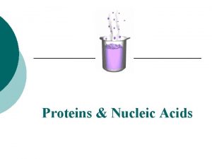 Proteins Nucleic Acids Macromolecule 3 Proteins C H