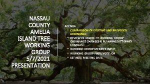 NASSAU COUNTY AMELIA ISLAND TREE WORKING GROUP 572021