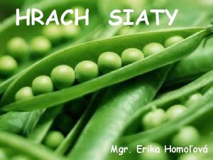 HRACH SIATY Mgr Erika Homoov Hrach siaty je