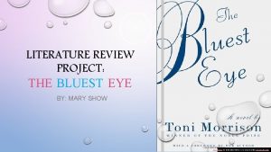 LITERATURE REVIEW PROJECT THE BLUEST EYE BY MARY