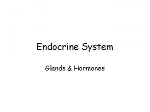 Endocrine System Glands Hormones Hormone A chemical messenger