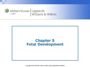 Chapter 5 Fetal Development Copyright 2014 Wolters Kluwer