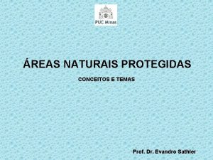 REAS NATURAIS PROTEGIDAS CONCEITOS E TEMAS Prof Dr