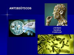 ANTIBITICOS J M Marin Gentica FORPUSP ANTIBITICOS HISTRIA