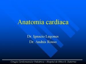 Anatoma cardaca Dr Ignacio Lugones Dr Andrs Rosso