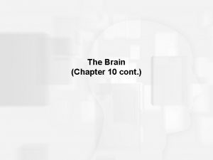 The Brain Chapter 10 cont Brain Basics About