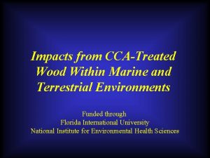 Impacts from CCATreated Wood Within Marine and Terrestrial