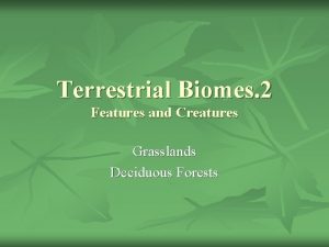 Terrestrial Biomes 2 Features and Creatures Grasslands Deciduous