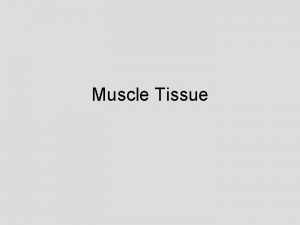 Muscle Tissue Muscle tissue is highly specialized to