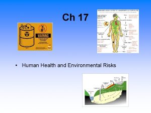 Ch 17 Human Health and Environmental Risks There