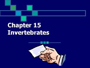 Chapter 15 Invertebrates An animal without a backbone