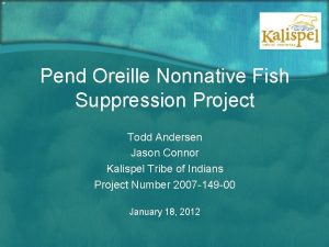 Pend Oreille Nonnative Fish Suppression Project Todd Andersen