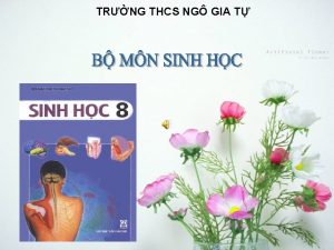 TRNG THCS NG GIA T THO LUN NHM