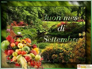 Nel mese di settembre si torna quasi tutti