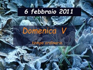 6 febbraio 2011 Domenica V tempo ordinario Is