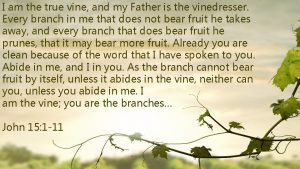 I am the true vine and my Father