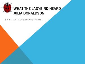 WHAT THE LADYBIRD HEARD JULIA DONALDSON BY EMILY