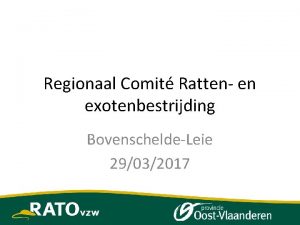 Regionaal Comit Ratten en exotenbestrijding BovenscheldeLeie 29032017 1