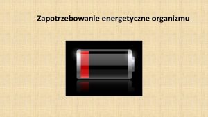 Zapotrzebowanie energetyczne organizmu Dzienne zapotrzebowanie energetyczne to ilo