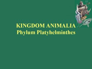 KINGDOM ANIMALIA Phylum Platyhelminthes Phylum Platyhelminthes Members of